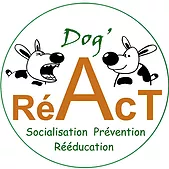 Dog'RéAct - Cynologiste dans le 50 et en Guadeloupe